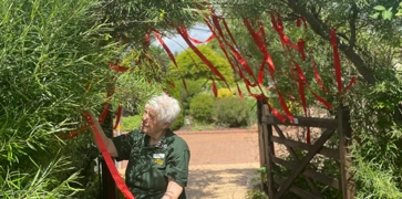<h3><strong>Ruby Ribbon Celebration </strong></h3>